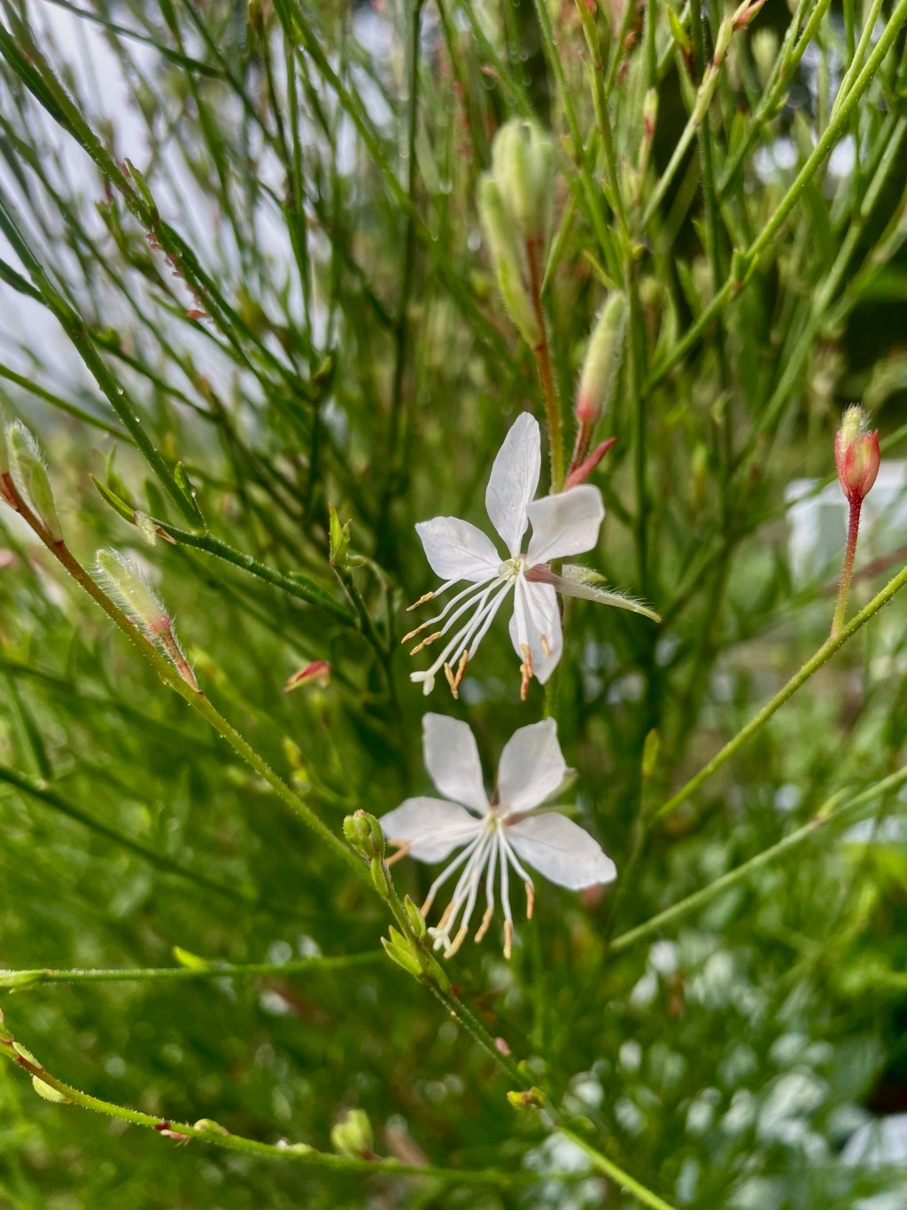 When was I&nbsp;Happy?